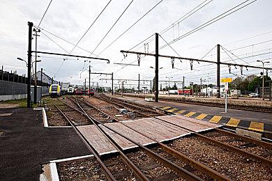 发售不到半年 《华纳大乱斗》Steam玩家数量断崖式下跌